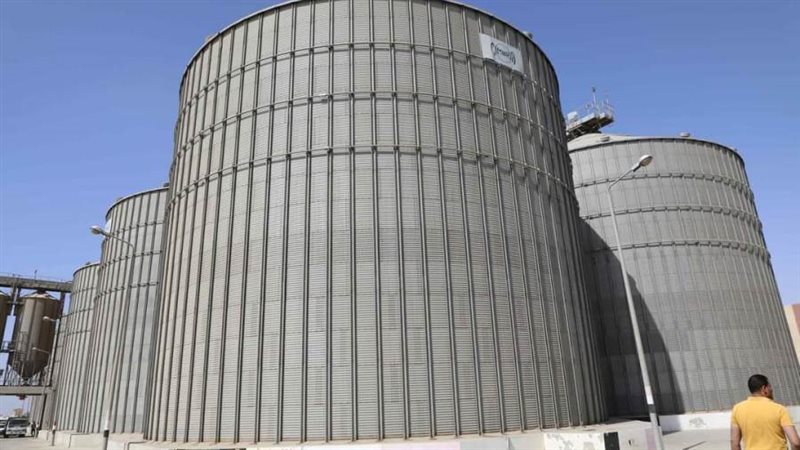 توريد محصول القمح