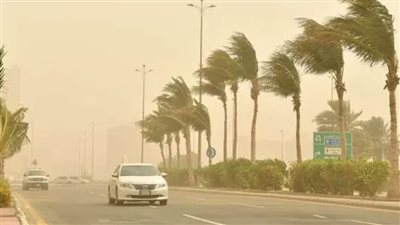 عواصف ترابية وارتفاع في درجات الحرارة بمحافظة الوادي الجديد