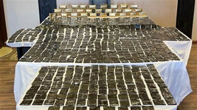 ضبط 85 كيلو جرامًا من مخدر الحشيش بحوزة شخص بالإسماعيلية 