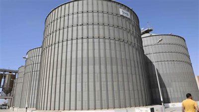 شون وصوامع المنيا تستقبل 438 ألف طن من محصول القمح