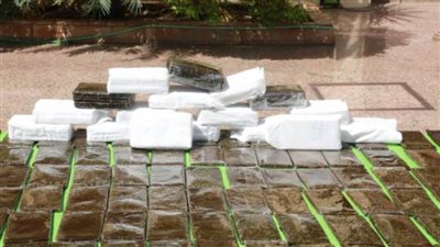 ضبط اثنين من العناصر الإجرامية بالجيزة لقيامهما بالاتجار فى المواد المخدرة