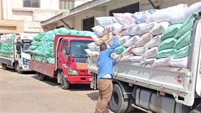 توريد أكثر من 334 ألفًا و115 طنًا من محصول القمح بالدقهلية
