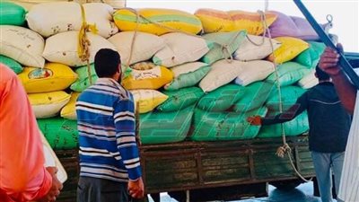 محافظ كفر الشيخ: توريد  90.35% من الأقماح بكفر الشيخ 