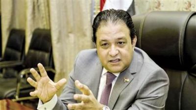 رئيس لجنة برلمانية: الحوار الوطني بدأ يؤتي ثماره ونستهدف الوصول لخارطة طريق شاملة لمصر