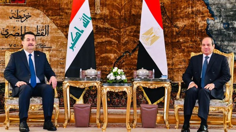 استقبال الرئيس عبد