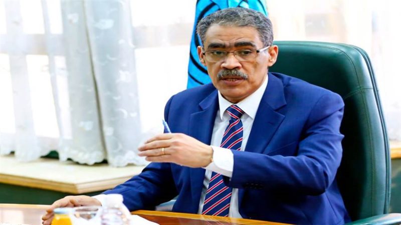 ضياء رشوان المنسق