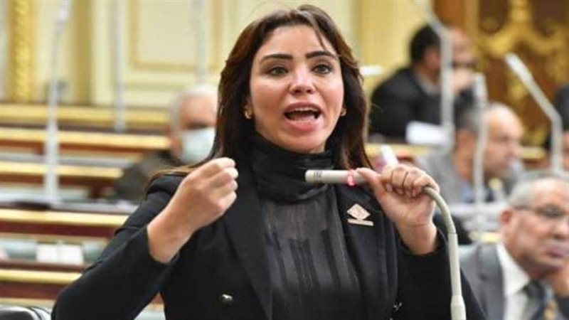 النائبة غادة على