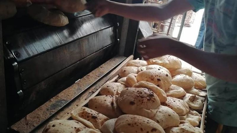 حملات تموينية متنوعة