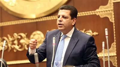 مقرر مساعد بالحوار الوطني: سنعقد جلسة خاصة على مستوى الخبراء لمناقشة وثيقة سياسة ملكية الدولة