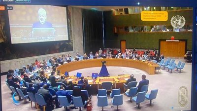 شيخ الأزهر: مصر واحة السَّلام ومُلْتقى الأديان وبلد الحضارة والتاريخ والأمن والأمان