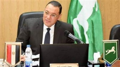 محافظ الشرقية: نولي اهتماما كبيرا بقضايا السكان