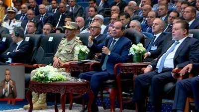 الرئيس السيسي للخبراء الأجانب: 