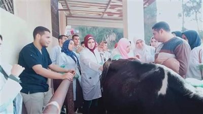 خبراء الطب البيطري يقدمون نصائح هامة عند شراء اللحوم.. تعرف عليها