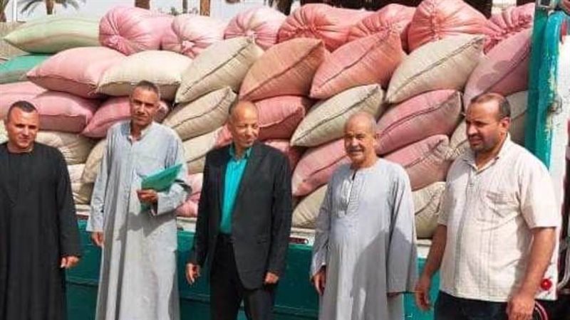 جانب من التوريد