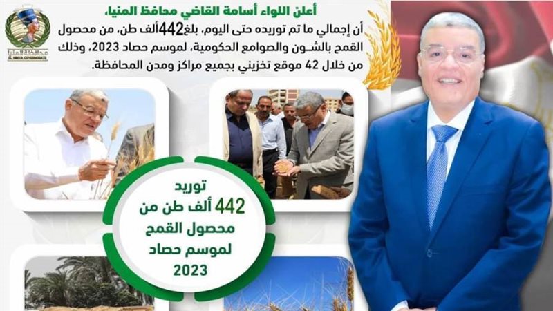 توريد محصول القمح