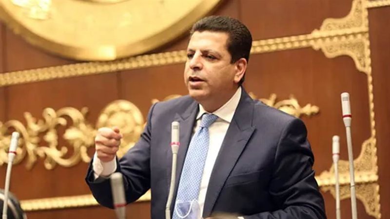 النائب محمود سامي