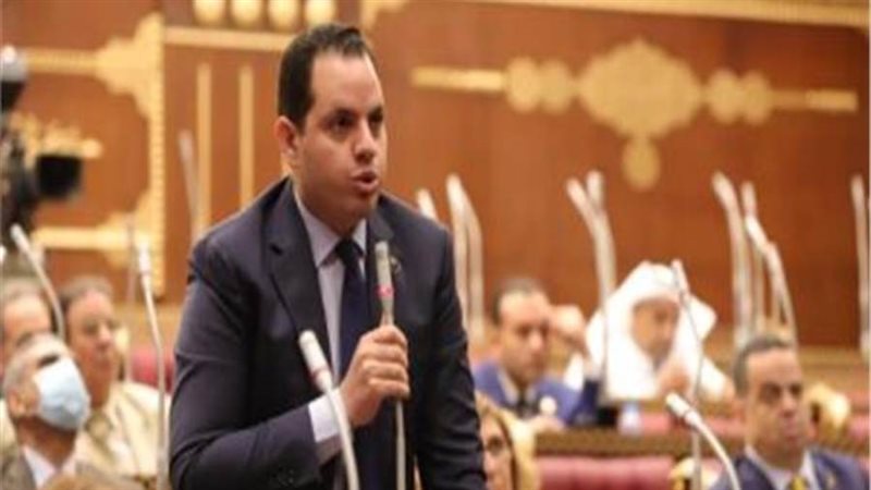 النائب أحمد فوزي