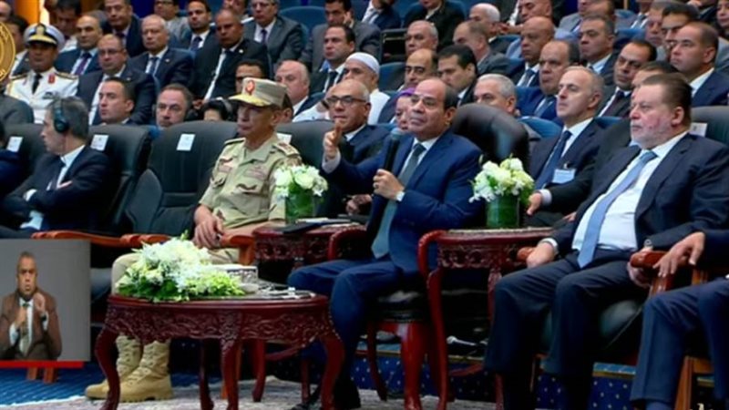 الرئيس السيسي للخبراء