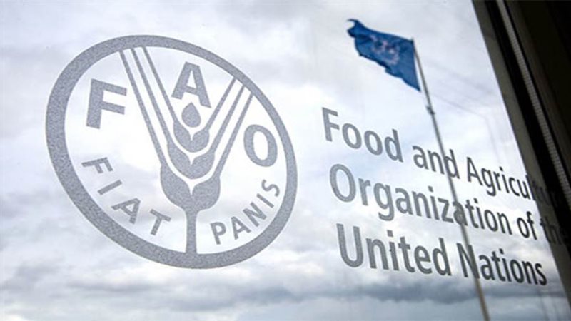 منظمة الأغذية والزراعة