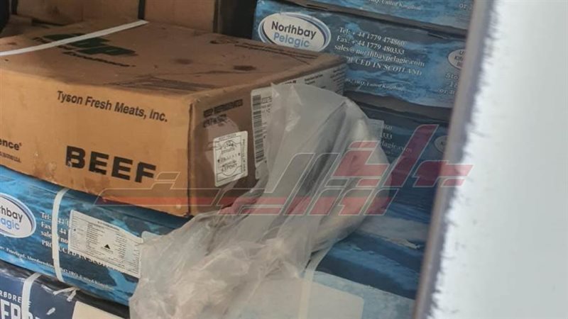 الأسماك المضبوطة