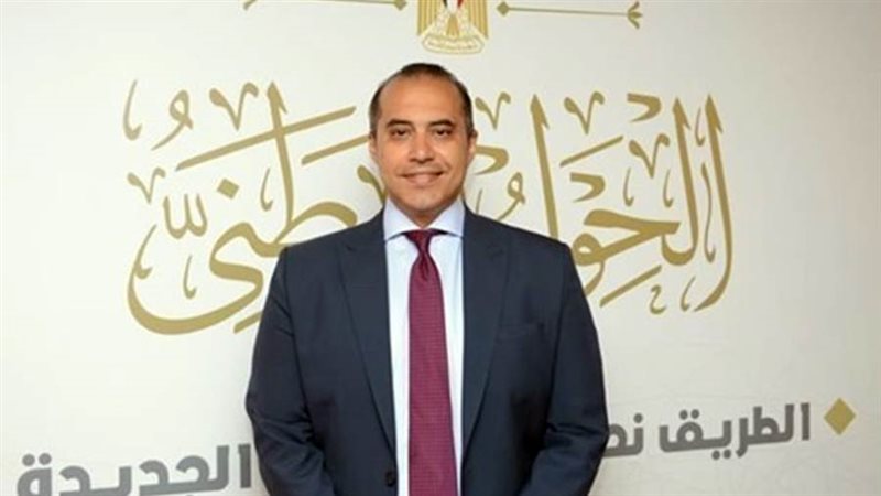 المستشار محمود فوزي