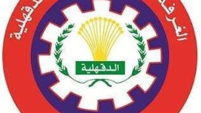 منافسة شرسة بين 9 مرشحين في انتخابات الغرفة التجارية بالدقهلية.. اليوم