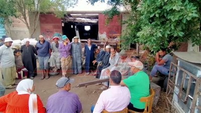 ندوات إرشادية ومدارس حقلية للنهوض بزراعات القطن والذرة بكفر الشيخ
