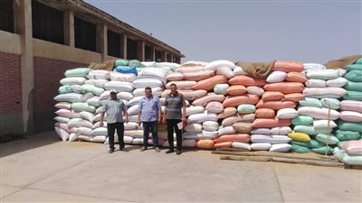 توريد 390 ألف طن قمح لشون وصوامع محافظة البحيرة