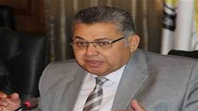 أشرف الشيحي: الصورة ليست قاتمة بشأن التضييق على الجماعة الأكاديمية ولدينا حرية ممارسة