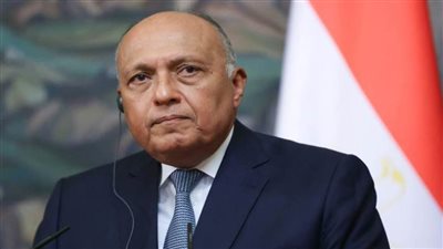 شكري وبوريل يبحثان القضايا الإقليمية والدولية والعلاقات بين مصر والاتحاد الأوروبي