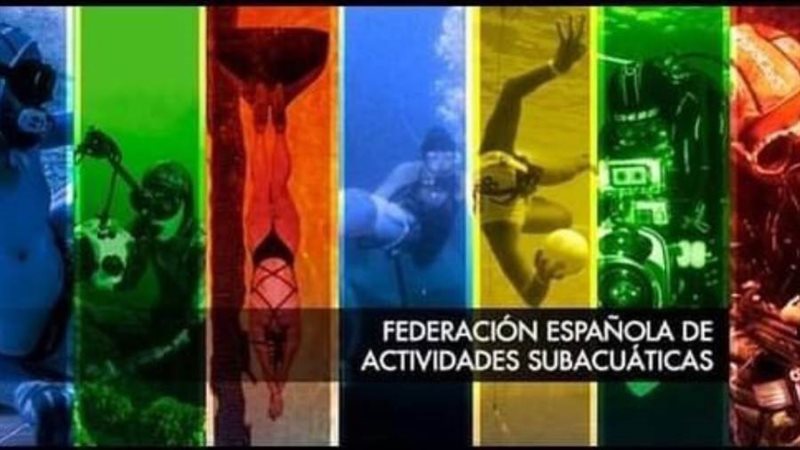 بطولة سباحة الزعانف