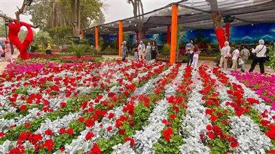 الأسعار تبدأ من 5 جنيهات.. إقبال كبير على معرض الزهور بالمتحف الزراعي