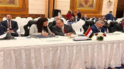 معيط يدعو لخطة عمل إفريقية لتجنب تأثر القارة بالمزيد من الصدمات والتقلبات الاقتصادية الخارجية مستقبلا