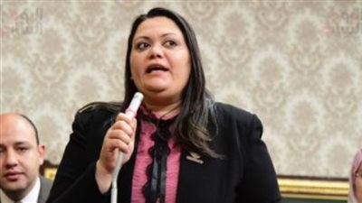 نائبة التنسيقية تطالب بسرعة صياغة الاستراتيجية الوطنية للصناعة في مصر