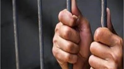 إحالة أوراق المتهم بقتل شخص وإصابة شقيقه في القناطر الخيرية للمفتي