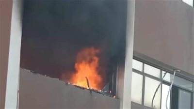 بعد نشوب حريق.. تحويل 7 أطفال من مستشفى ميت سلسيل للمنزلة والجمالية