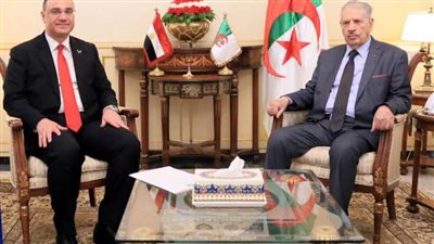 سفير مصر لدى الجزائر: نقلت تحيات الرئيس السيسي إلى الرئيس تبون