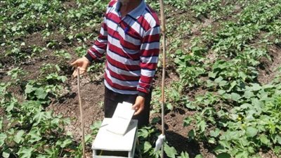 لجان المكافحة الحقلية تتابع زراعات القطن والذرة بالبحيرة