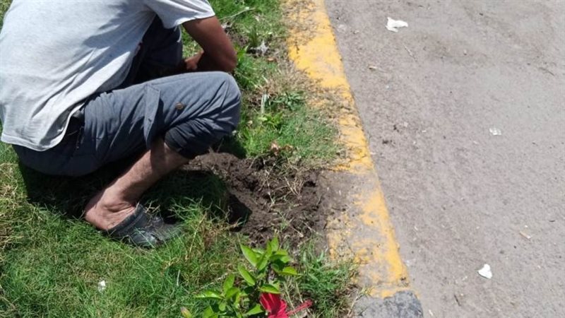 محافظ الإسكندرية