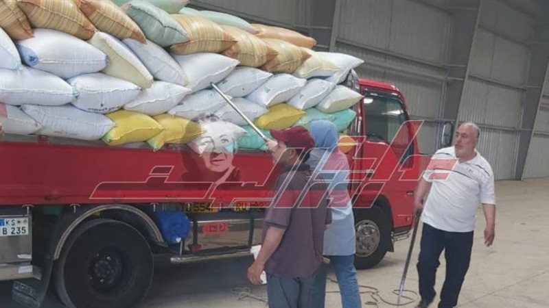 توريد واستلام القمح