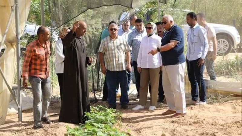 اللواء الزملوط يتفقد