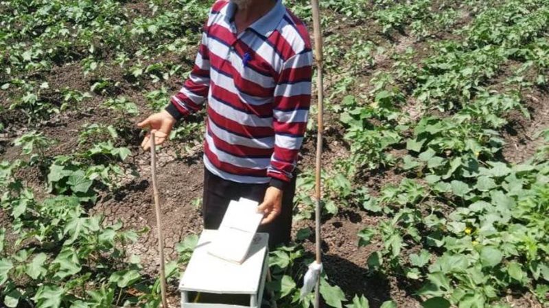 لجان المكافحة الحقلية