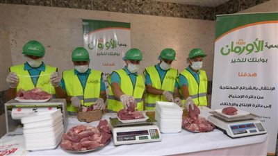 تضامن المنيا: توفير اللحوم وذبح 50 عجلًا وتوزيعها بالقرى الأكثر احتياجًا