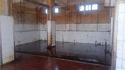 تطهير وتعقيم المجازر وذبح الأضاحي وتوصيلها مجانًا بكفر الشيخ