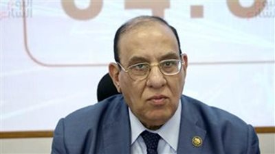 طلعت عبدالقوي: كلما قلت نسبة الفقر قلت ظاهرة العنف الأسري