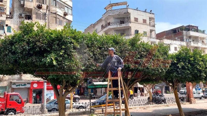 حملات النظافة