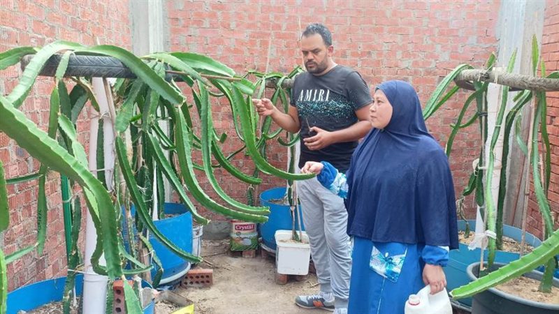 عبدالفتاح وزوجته