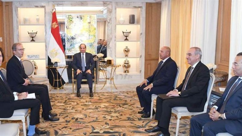 لقاءات الرئيس السيسي