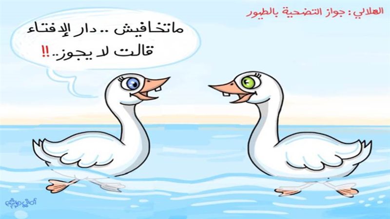 ريشة - أماني هاشم