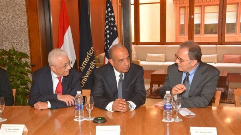 وزير قطاع الأعمال